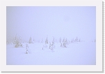 cloudy winter day_8615 * 800 x 531 * (76KB)